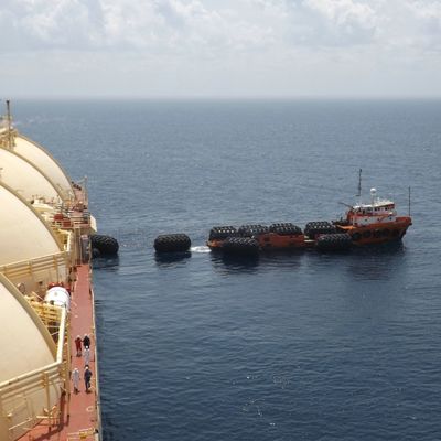 ABS CCS Yokohama Fender do cumowania łodzi Duża elastyczność Marine Rubber Buffer